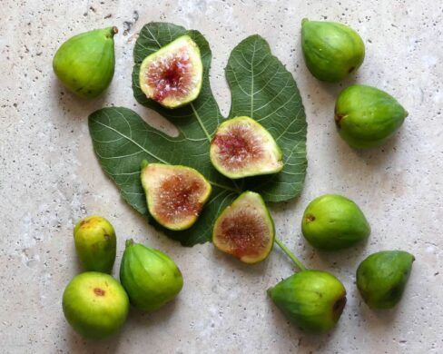 GREEN FIG
