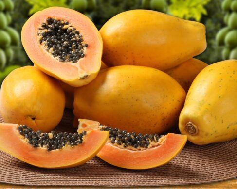 TROPICAL PAPAYA