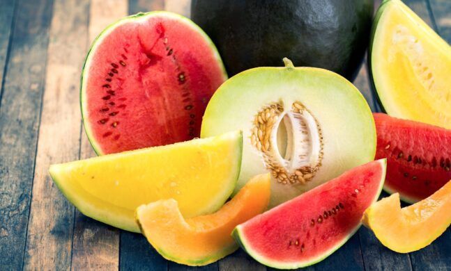 MELON GUM